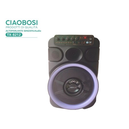 Speaker wireless