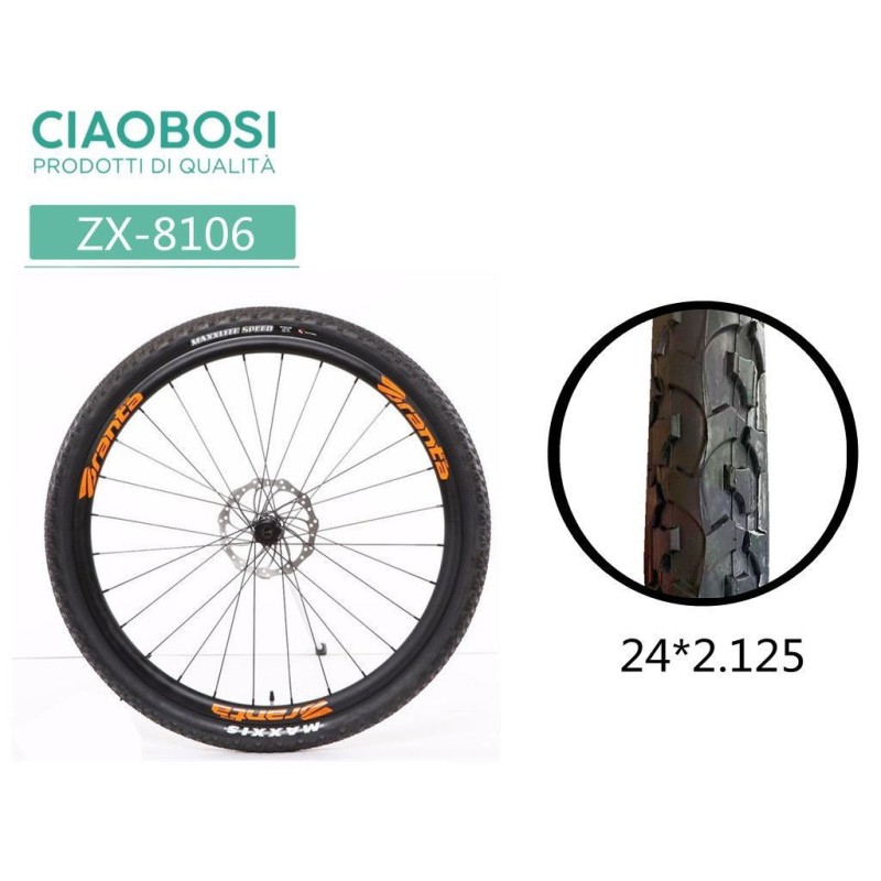 GOMME DELLA BICICLETTA