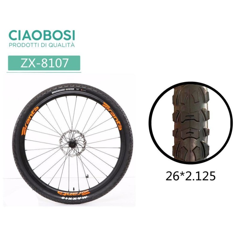 GOMME DELLA BICICLETTA