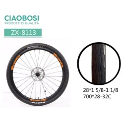 GOMME DELLA BICICLETTA