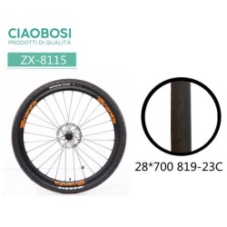 GOMME DELLA BICICLETTA