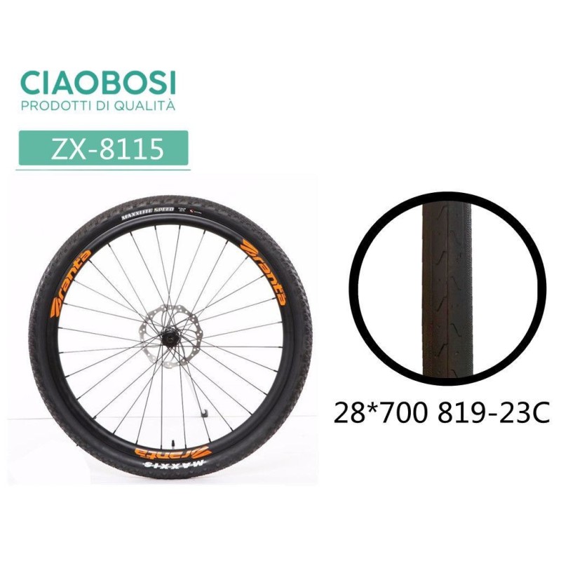 GOMME DELLA BICICLETTA