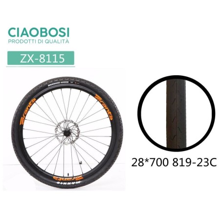 GOMME DELLA BICICLETTA